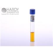 SP4 Broth with Urea