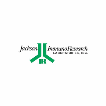 AffiniPure Goat Anti-Mouse IgM, µ Chain Specific