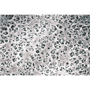 Coated Cellulose Acetate Membrane Filters
