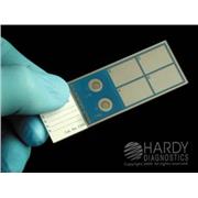Q-Slide™ Gram