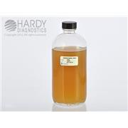 Sabdex (Sabouraud Dextrose) Agar, USP