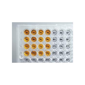 Microplate Well Orienter Stickers