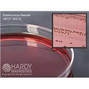 EMB Levine Agar (Eosin Methylene Blue)