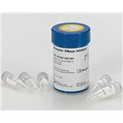 Protector RNase Inhibitor