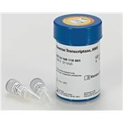 Reverse Transcriptase AMV,