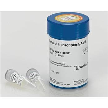 Reverse Transcriptase AMV, 