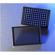 96-Well and 384-Well Microplates with Film Bottom for High Content Imaging