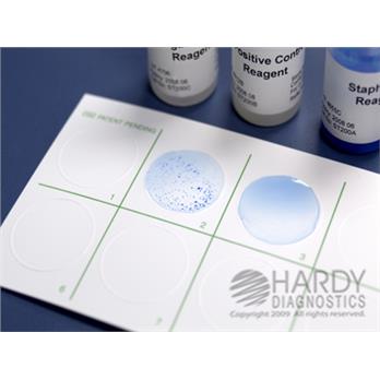 Latex Agglutination Cards