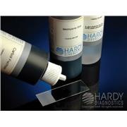 Acid Fast Stain Kit, Kinyoun