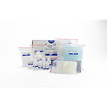 FastDNA-96™ Fecal DNA Kit