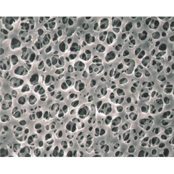Cellulose Acetate (CA) Membrane Filters