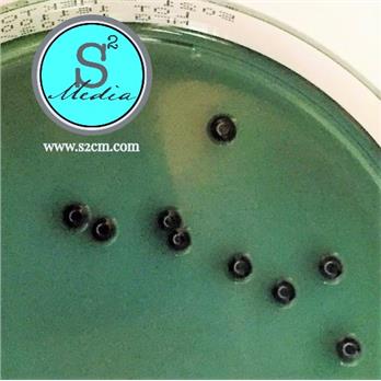 Hektoen Enteric Agar (HE)