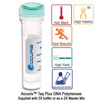 Accuris™ Taq Plus DNA Polymerase and Master Mix