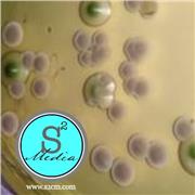 WL Nutrient Agar (WLN)