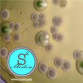 WL Nutrient Agar (WLN)