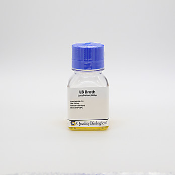LB Broth (Luria Bertani, Miller)