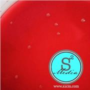 Campy CVA Agar (5% Sheep Blood)