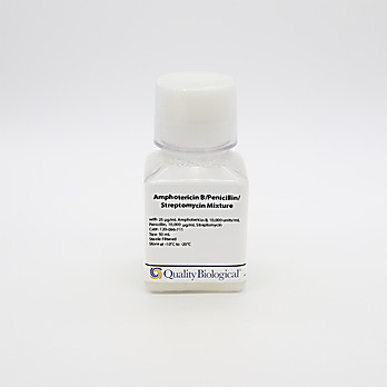 Amphotericin B/Penicillin/Streptomycin Mix