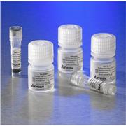 AxyPrep™ Mag Plant gDNA Kit
