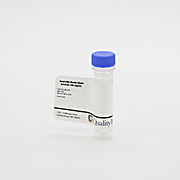 Ampicillin Ready-Made Solution, 100mg/mL
