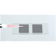 Microscope Slide-Grids