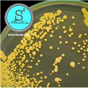 Plate Count Agar (PCA)/Standard Methods Agar (SMA)
