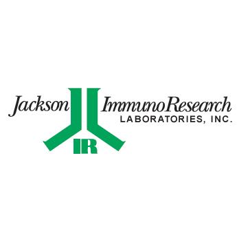 AffiniPure Rabbit Anti-Mouse IgG (H+L)