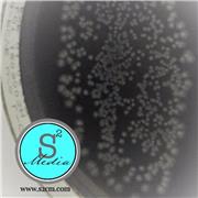 BCYE without L-Cysteine Agar
