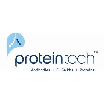 TTC26 Rabbit Polyclonal Antibody (25083-1-AP)
