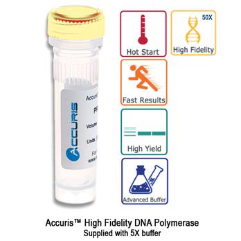 Accuris™ High Fidelity DNA Polymerase