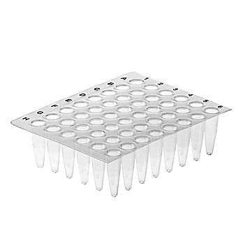 AMPLATE™ Thin Wall 48-Well PCR Plates