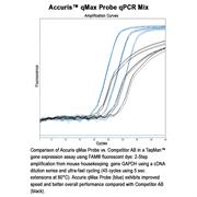 Accuris™ qMax Probe qPCR Mix