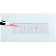 Microscope Slide-Wells