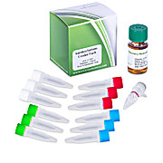 ElectroCompetent Agrobacterium Combo Pack