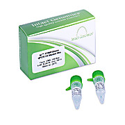 ig SYBR Green qPCR 2X Master Mix