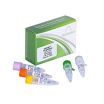 igScript™ RT-PCR kit