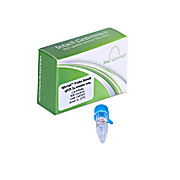 igScript™ Probe Based RT-qPCR 2x master mix