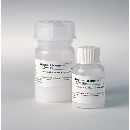 Protein G Sepharose 4 Fast Flow