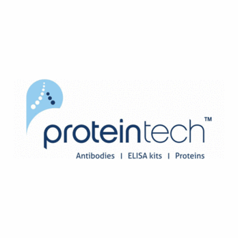 Rna Binding Motif Protein 15B