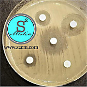 Mueller Hinton (MH) Agar