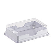 Plastic Freezer Storage Box Hinged Lid ⋆ Morganville Scientific