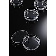 Cell Culture Dishes