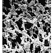 MF-Millipore™ White Gridded Membrane Filters