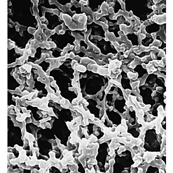 MF-Millipore™ Membrane Filters without Triton® Surfactant