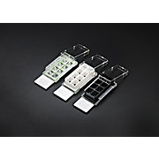 Cell Culture Chamber Slides