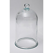 Glass Bell Jars