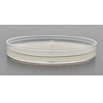 HardyCHROM™ Candida