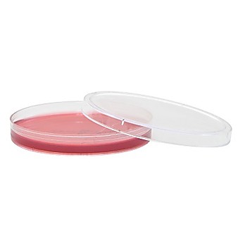 HardyCHROM™ SS NoPRO Agar