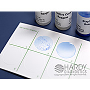 StaphTEX™ Blue