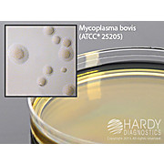 Mycoplasma Agar